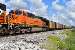 BNSF 6273 Roster shot